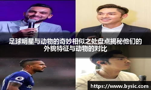 足球明星与动物的奇妙相似之处盘点揭秘他们的外貌特征与动物的对比