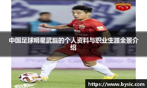 中国足球明星武磊的个人资料与职业生涯全景介绍